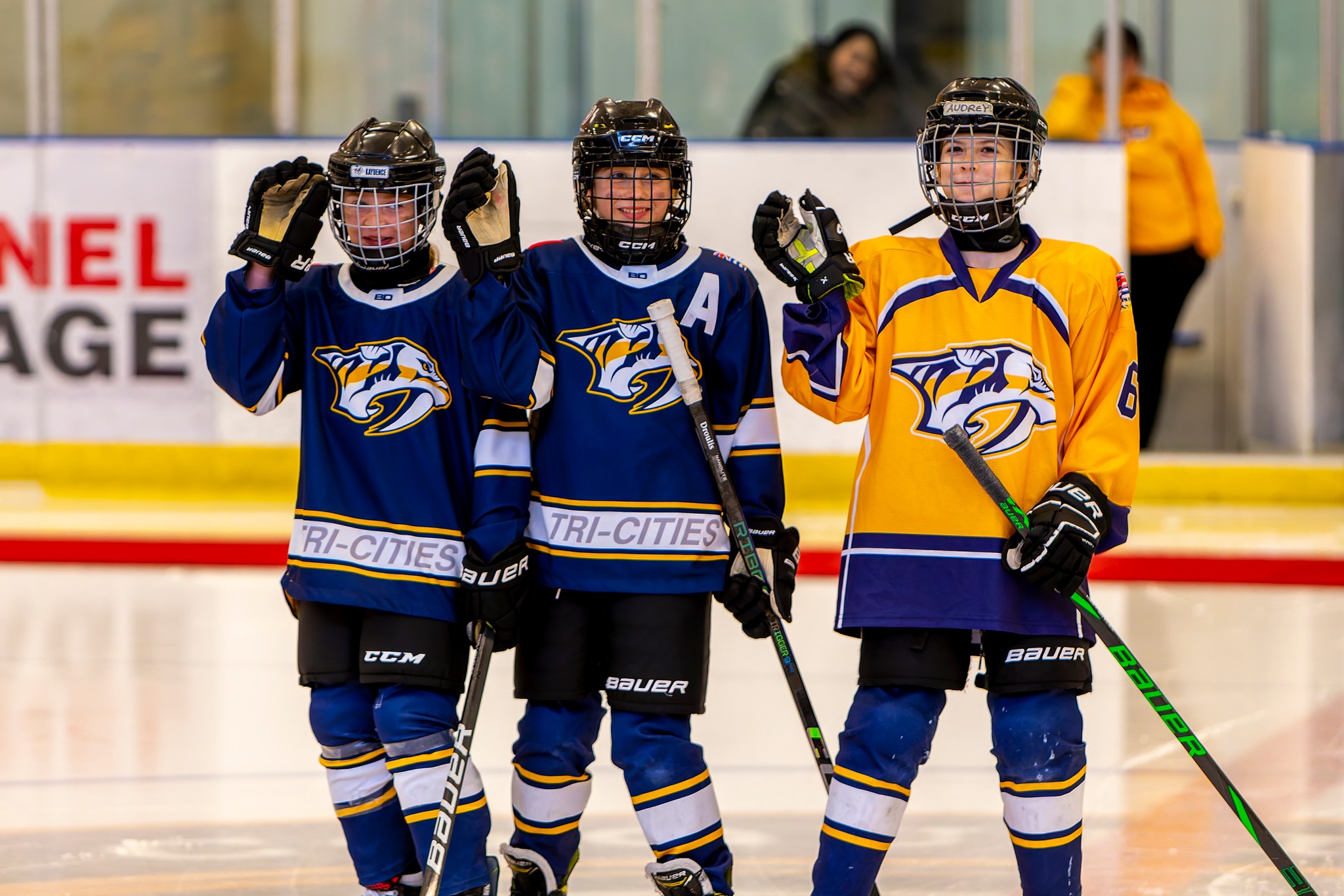 3 preds 3 preds